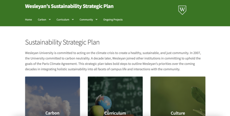 Website Image